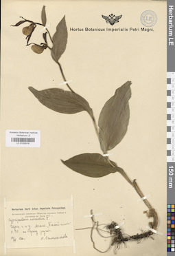 LE 01026316