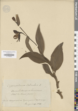 LE 01026320