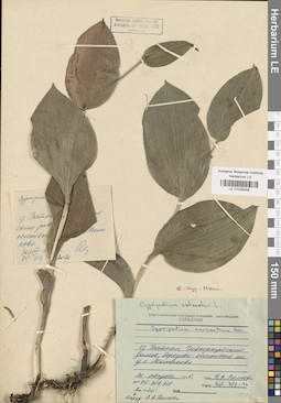 LE 01026348