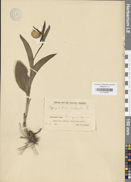 LE 01026350