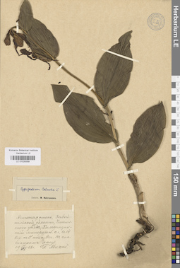LE 01026359