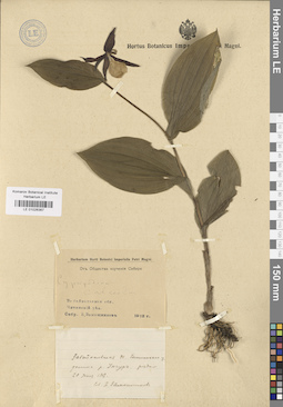 LE 01026367