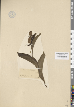 LE 01026374