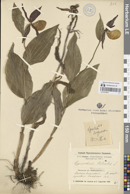 LE 01272010