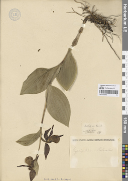 LE 01272012