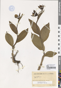 LE 01272014