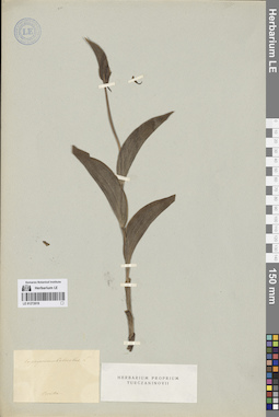 LE 01272019