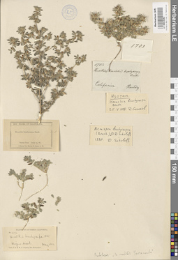 LE 00018262