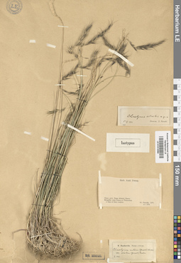 LE 01012094
