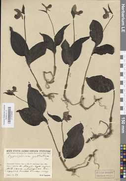 LE 01026391