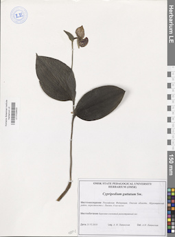 LE 01026403