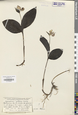LE 01026463