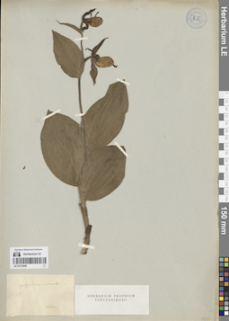 LE 01272056