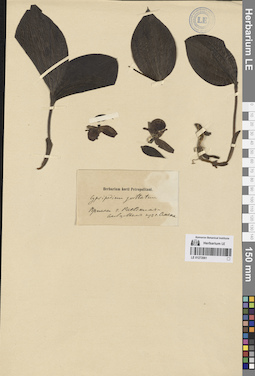 LE 01272061