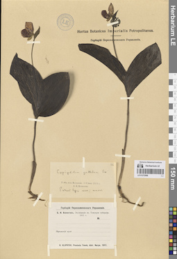 LE 01272066