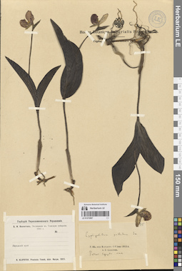 LE 01272067
