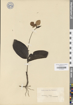 LE 01026422