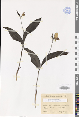 LE 01026446
