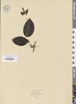 LE 01026451