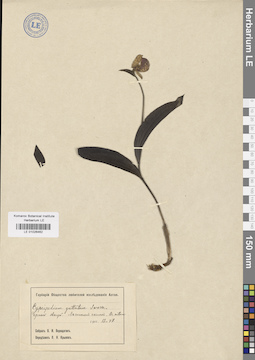LE 01026462