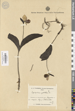LE 01026497