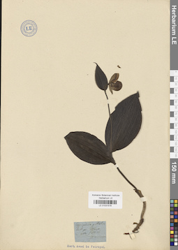 LE 01031578