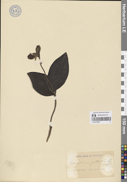 LE 01272070
