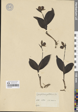 LE 01272078