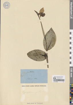 LE 01272084