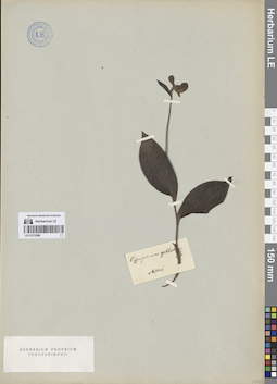 LE 01272086