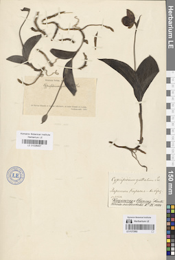 LE 01026457