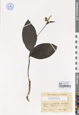 LE 01272100