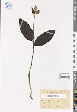 LE 01272101