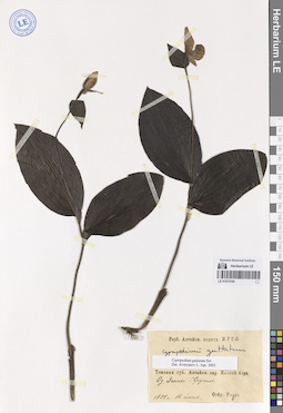 LE 01272104