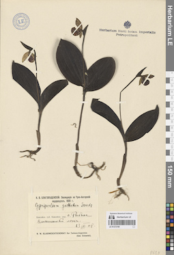 LE 01272108