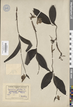 LE 01026506