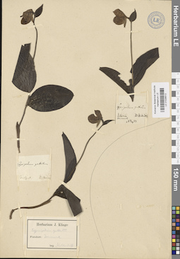 LE 01026512