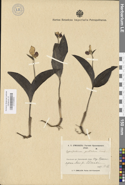LE 01026553