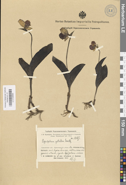 LE 01026564