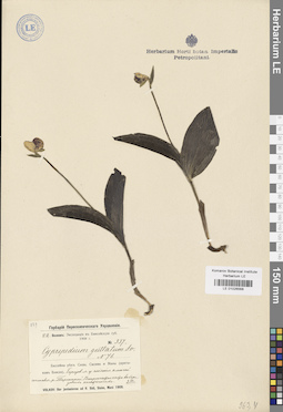 LE 01026568