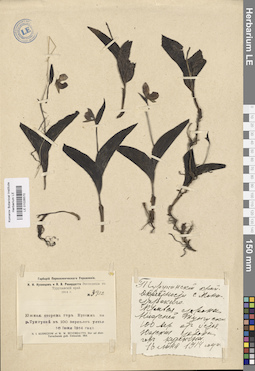 LE 01026570