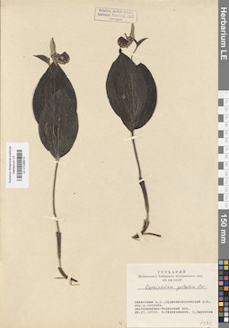 LE 01026573