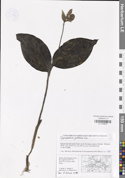 LE 01026574