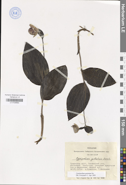 LE 01026582