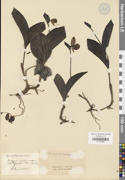 LE 01026587