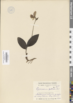 LE 01026589
