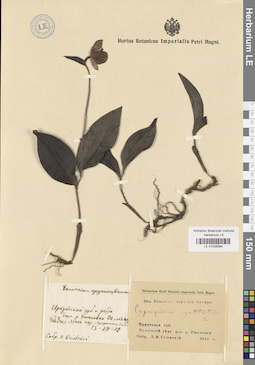 LE 01026594