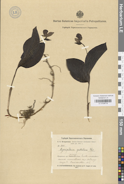 LE 01026719