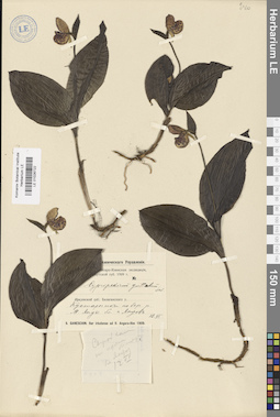 LE 01026722