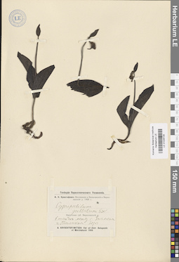 LE 01026728